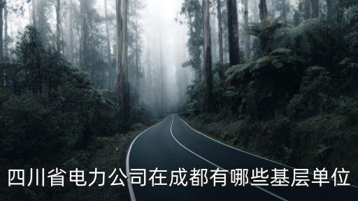 四川省電力公司在成都有哪些基層單位