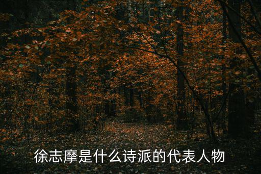 徐志摩是什么詩派的代表人物