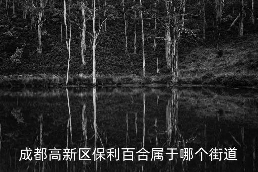 成都高新區保利百合屬于哪個街道