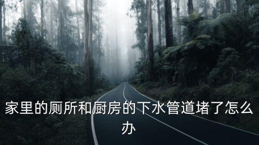 成都市政管道疏通專業(yè)服務(wù)，家里的廁所和廚房的下水管道堵了怎么辦