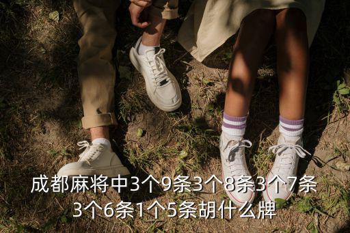 成都麻將中3個(gè)9條3個(gè)8條3個(gè)7條3個(gè)6條1個(gè)5條胡什么牌