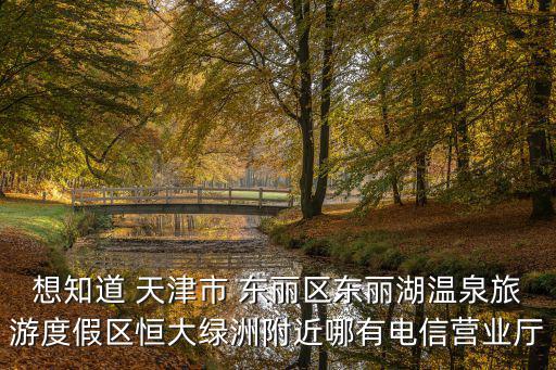 想知道 天津市 東麗區東麗湖溫泉旅游度假區恒大綠洲附近哪有電信營業廳