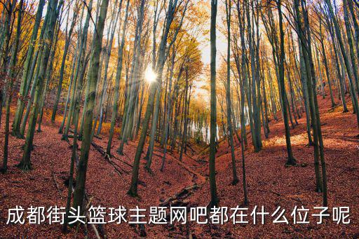 成都街頭籃球主題網吧都在什么位子呢
