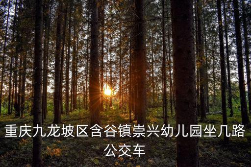 重慶九龍坡區(qū)含谷鎮(zhèn)崇興幼兒園坐幾路公交車