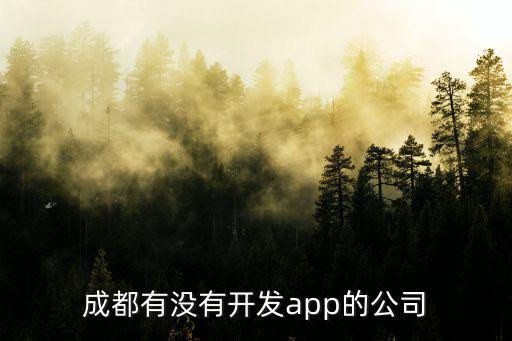 成都市矢志一方網(wǎng)絡(luò)科技有限公司，成都有沒有開發(fā)app的公司