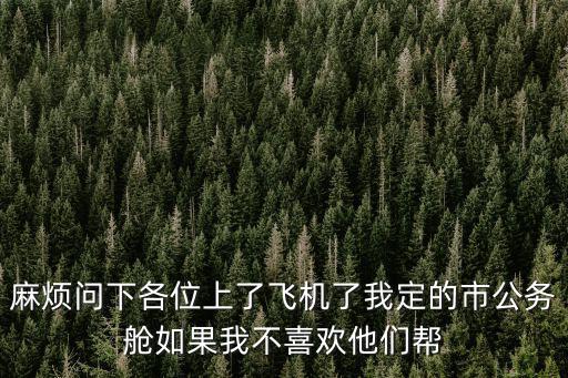 麻煩問下各位上了飛機了我定的市公務艙如果我不喜歡他們幫