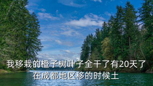 成都市樹木移栽，風(fēng)景樹外地移栽需要什么手續(xù)