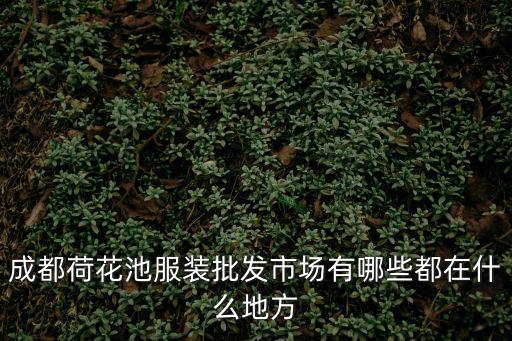 成都荷花池服裝批發市場有哪些都在什么地方