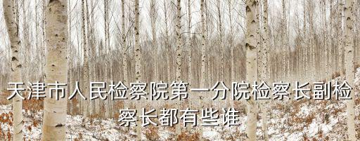 天津市人民檢察院第一分院檢察長副檢察長都有些誰