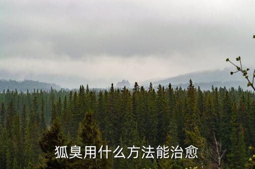 狐臭用什么方法能治愈