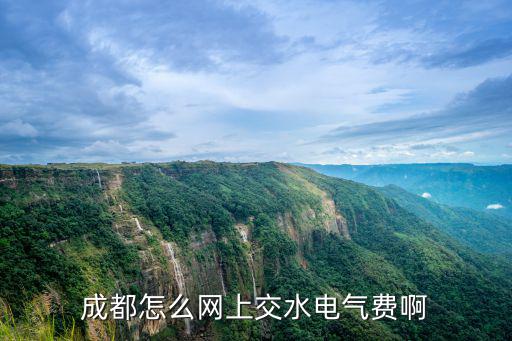 成都怎么網(wǎng)上交水電氣費(fèi)啊
