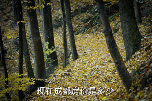 現在成都房價是多少