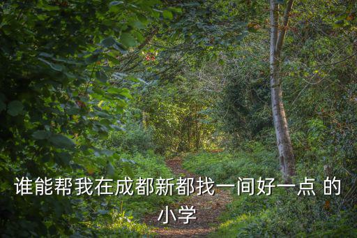 誰能幫我在成都新都找一間好一點 的小學