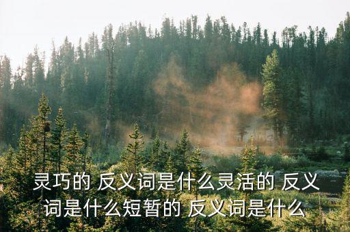  靈巧的 反義詞是什么靈活的 反義詞是什么短暫的 反義詞是什么