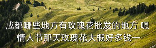 成都哪些地方有玫瑰花批發(fā)的地方 嗯 情人節(jié)那天玫瑰花大概好多錢(qián)一