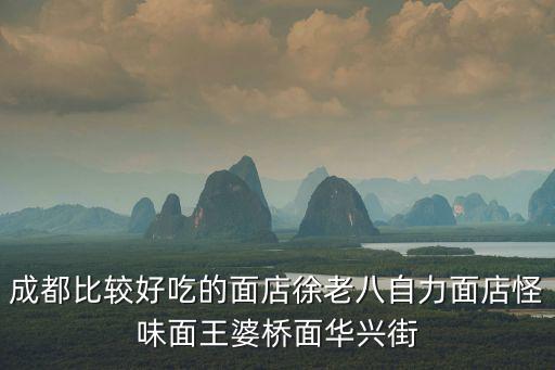 成都比較好吃的面店徐老八自力面店怪味面王婆橋面華興街