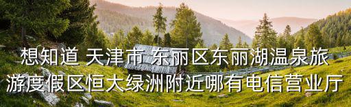 天津市東麗區的電信營業廳在哪，想知道 天津市 東麗區東麗湖溫泉旅游度假區恒大綠洲附近哪有電信營業廳