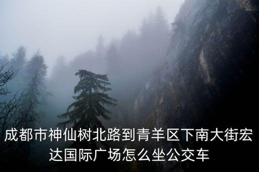 成都市萬年場(chǎng)到青羊區(qū)下南大街，成都市神仙樹北路到青羊區(qū)下南大街宏達(dá)國際廣場(chǎng)怎么坐公交車