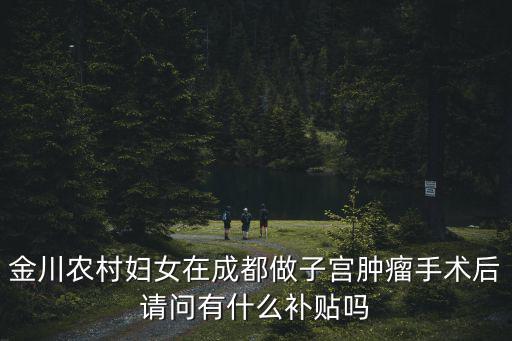 金川農村婦女在成都做子宮腫瘤手術后請問有什么補貼嗎