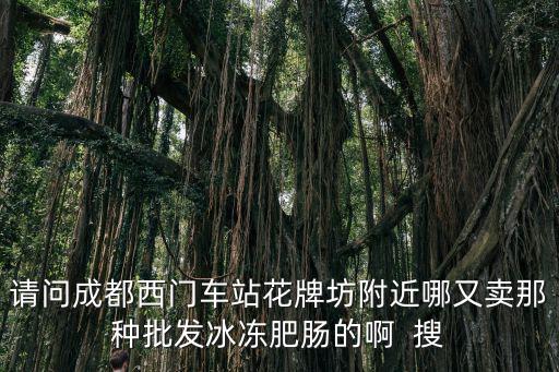 請問成都西門車站花牌坊附近哪又賣那種批發冰凍肥腸的啊  搜