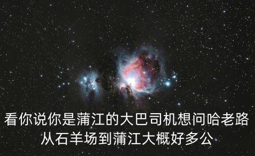 看你說你是蒲江的大巴司機想問哈老路從石羊場到蒲江大概好多公