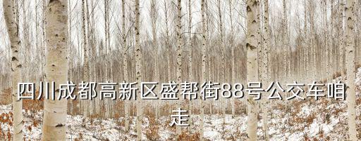 四川成都高新區盛幫街88號公交車咱走