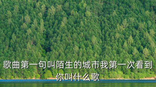 漂洋過海來看你簡譜，歌曲第一句叫陌生的城市我第一次看到你叫什么歌