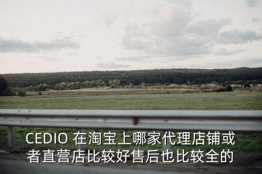 CEDIO 在淘寶上哪家代理店鋪或者直營(yíng)店比較好售后也比較全的