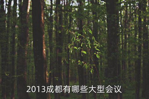 2013成都有哪些大型會(huì)議