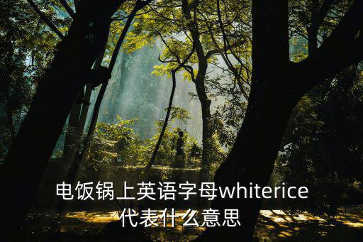 電飯煲英文，電飯鍋上whitemixed special white quick brown 是什么意思
