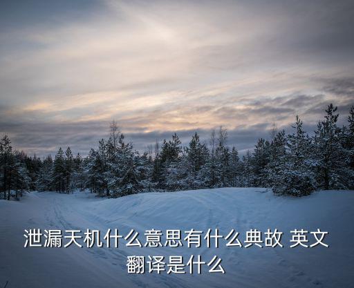 ?泄漏天機什么意思有什么典故 英文翻譯是什么