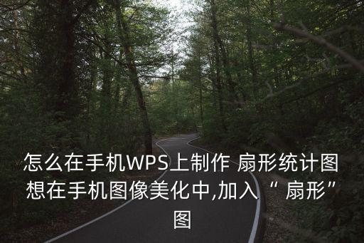 扇形圖片,點擊插入->形狀->基本形狀如圖