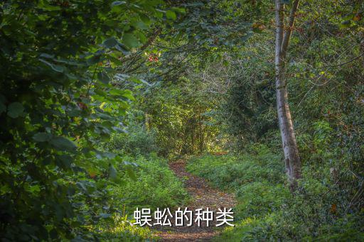 少棘蜈蚣,紅腳蜈蚣一種中國浙江特產(chǎn)!