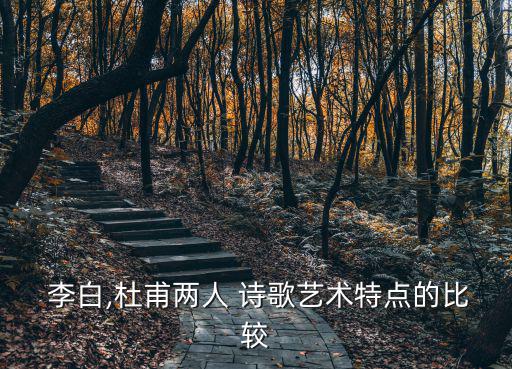  李白,杜甫兩人 詩歌藝術特點的比較