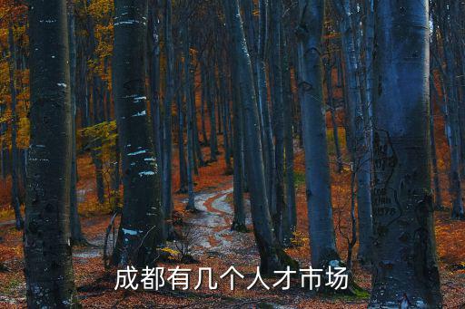 成都有幾個人才市場