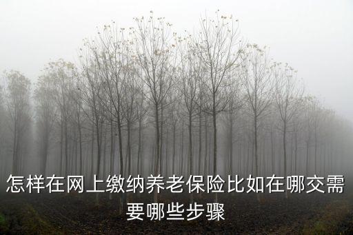怎樣在網(wǎng)上繳納養(yǎng)老保險(xiǎn)比如在哪交需要哪些步驟