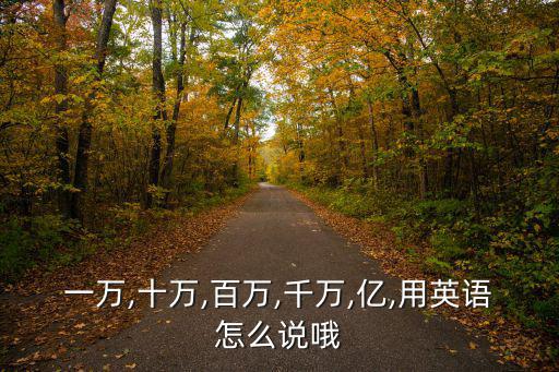 一萬,十萬,百萬,千萬,億,用英語怎么說哦