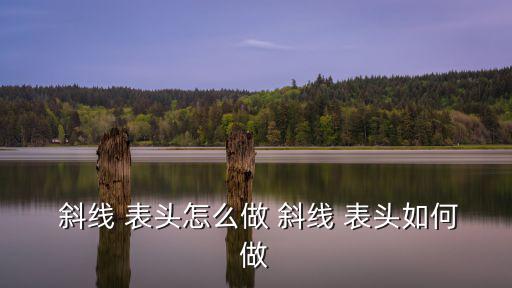 斜線表頭怎么做,表格如何制作斜線表頭?