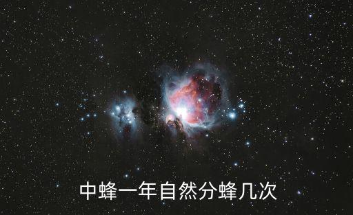 中蜂,中蜂一年分兩次產卵群體潛力比蜜蜂小