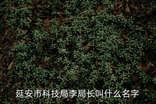 延安市科技局李局長叫什么名字
