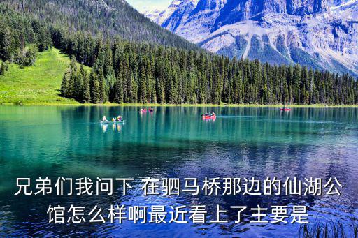 兄弟們我問下 在駟馬橋那邊的仙湖公館怎么樣啊最近看上了主要是