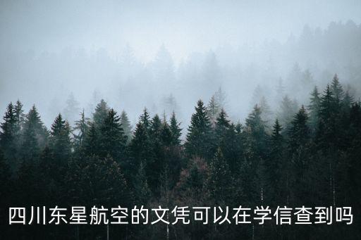 四川東星航空的文憑可以在學(xué)信查到嗎