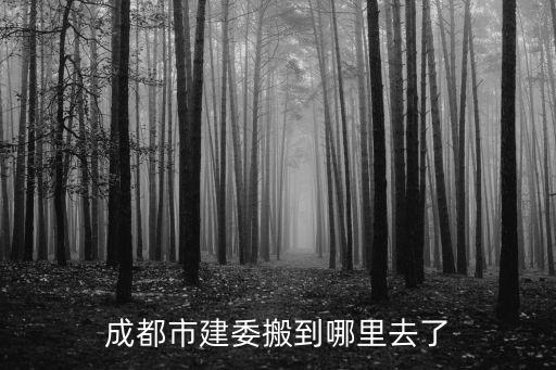 四川成都市建委，成都市建委搬到哪里去了