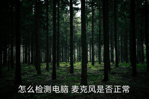 怎么檢測電腦 麥克風是否正常