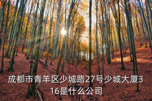 成都市青羊區少城路27號少城大廈316是什么公司