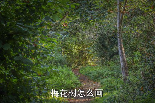 花兒怎么畫,如何畫梅花?