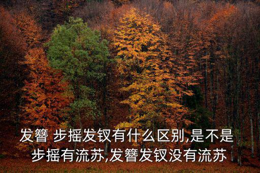 發(fā)簪 步搖發(fā)釵有什么區(qū)別,是不是 步搖有流蘇,發(fā)簪發(fā)釵沒有流蘇