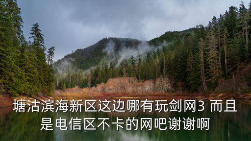 塘沽濱海新區這邊哪有玩劍網3 而且是電信區不卡的網吧謝謝啊