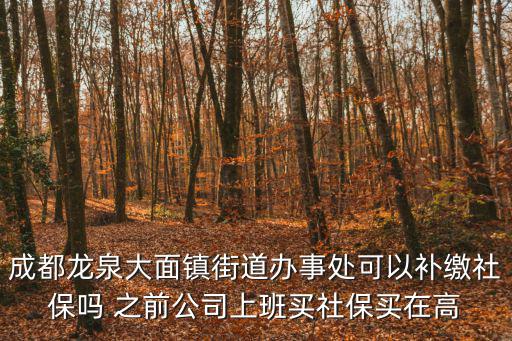 成都市龍泉驛區(qū)社保補充險，龍泉驛區(qū)社保卡丟了能在成都市區(qū)補辦嗎