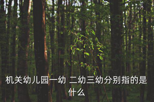 什么是成都市二級幼兒園，成都市新都區(qū)金藝寶貝幼兒園招生要求